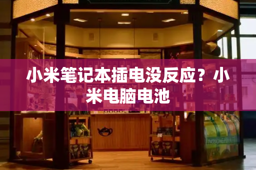 小米笔记本插电没反应？小米电脑电池-第1张图片-星选测评