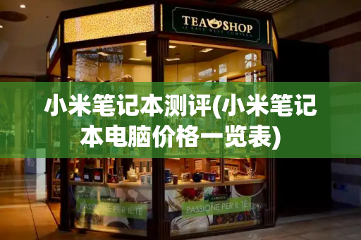 小米笔记本测评(小米笔记本电脑价格一览表)-第1张图片-星选测评
