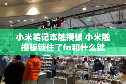 小米笔记本触摸板 小米触摸板锁住了fn和什么键-第1张图片-星选测评