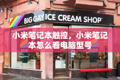 小米笔记本触控，小米笔记本怎么看电脑型号-第1张图片-星选测评