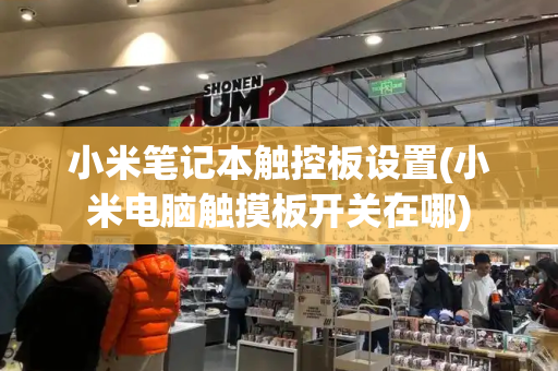 小米笔记本触控板设置(小米电脑触摸板开关在哪)