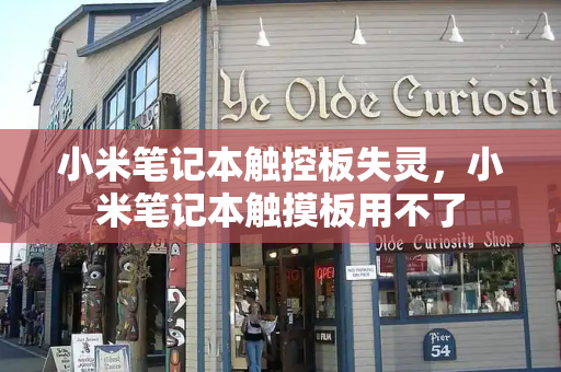 小米笔记本触控板失灵，小米笔记本触摸板用不了-第1张图片-星选测评