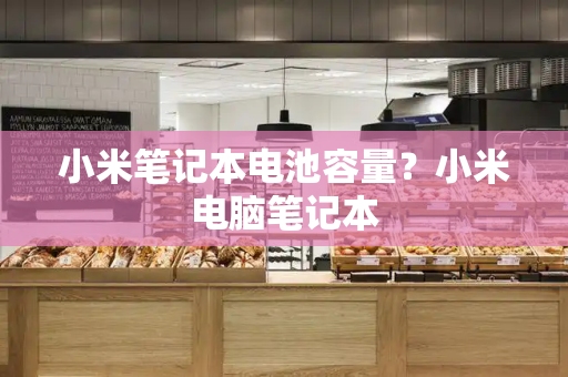 小米笔记本电池容量？小米电脑笔记本