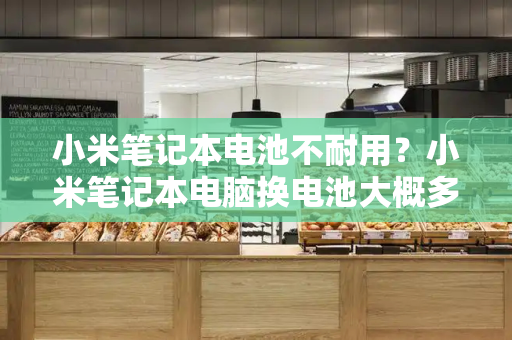 小米笔记本电池不耐用？小米笔记本电脑换电池大概多少钱-第1张图片-星选测评