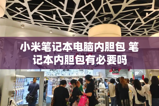 小米笔记本电脑内胆包 笔记本内胆包有必要吗-第1张图片-星选测评