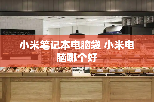 小米笔记本电脑袋 小米电脑哪个好-第1张图片-星选测评
