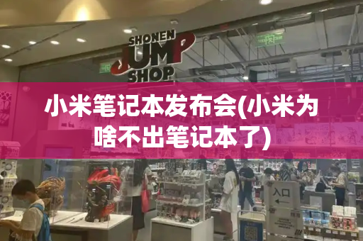 小米笔记本发布会(小米为啥不出笔记本了)-第1张图片-星选测评