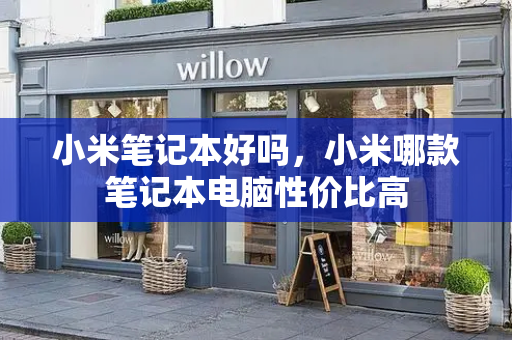 小米笔记本好吗，小米哪款笔记本电脑性价比高-第1张图片-星选测评