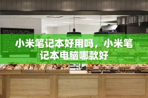 小米笔记本好用吗，小米笔记本电脑哪款好-第1张图片-星选测评