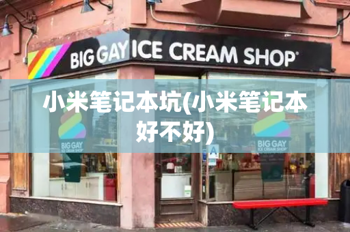 小米笔记本坑(小米笔记本好不好)-第1张图片-星选测评