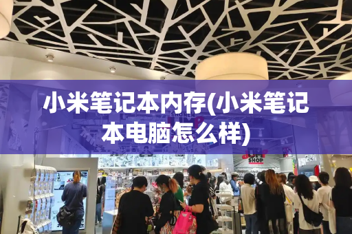 小米笔记本内存(小米笔记本电脑怎么样)-第1张图片-星选测评