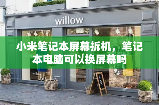 小米笔记本屏幕拆机，笔记本电脑可以换屏幕吗-第1张图片-星选测评