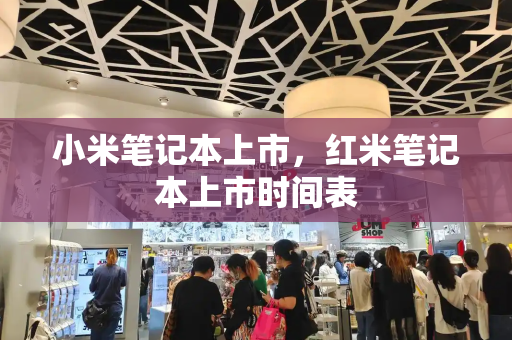 小米笔记本上市，红米笔记本上市时间表-第1张图片-星选测评