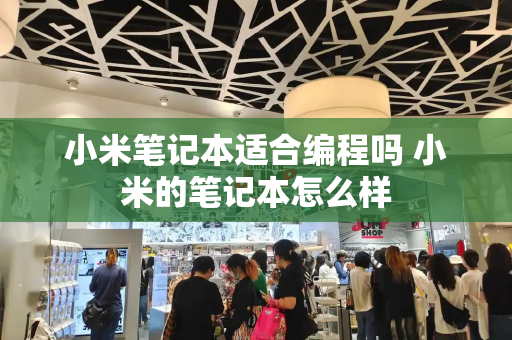 小米笔记本适合编程吗 小米的笔记本怎么样