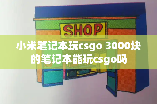 小米笔记本玩csgo 3000块的笔记本能玩csgo吗-第1张图片-星选测评