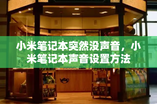 小米笔记本突然没声音，小米笔记本声音设置方法-第1张图片-星选测评