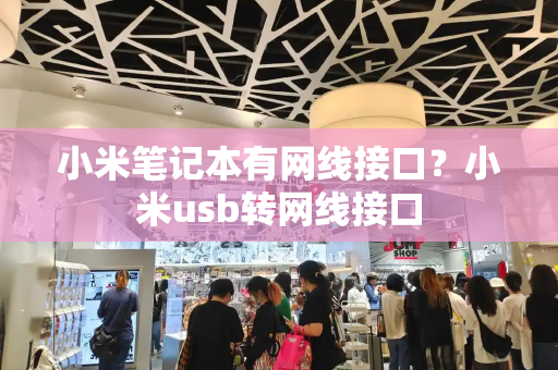 小米笔记本有网线接口？小米usb转网线接口