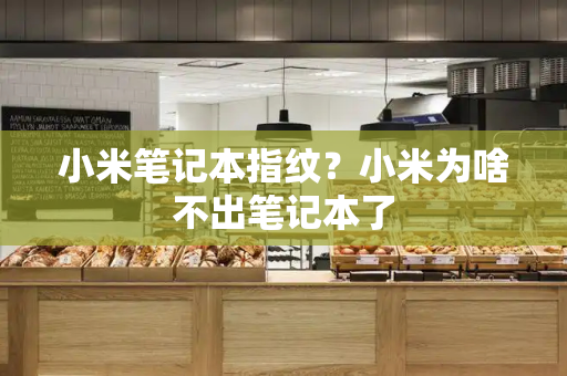 小米笔记本指纹？小米为啥不出笔记本了-第1张图片-星选测评