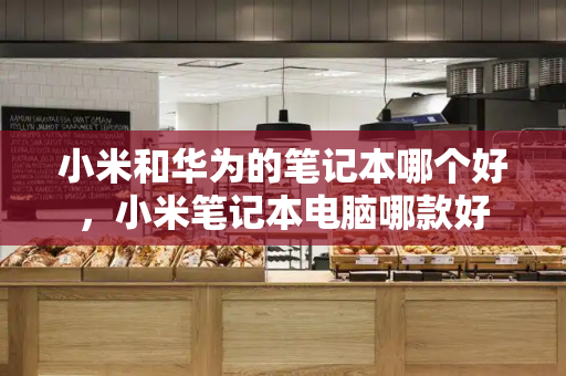 小米和华为的笔记本哪个好，小米笔记本电脑哪款好-第1张图片-星选测评