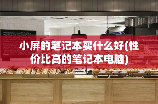 小屏的笔记本买什么好(性价比高的笔记本电脑)