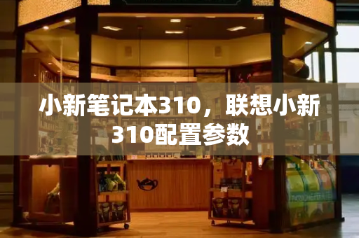 小新笔记本310，联想小新310配置参数-第1张图片-星选测评