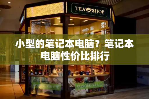 小型的笔记本电脑？笔记本电脑性价比排行-第1张图片-星选测评