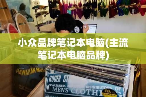 小众品牌笔记本电脑(主流笔记本电脑品牌)