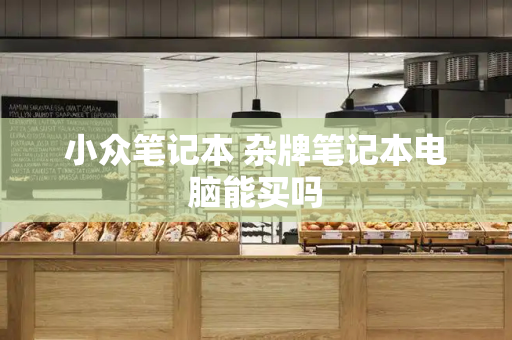 小众笔记本 杂牌笔记本电脑能买吗-第1张图片-星选测评