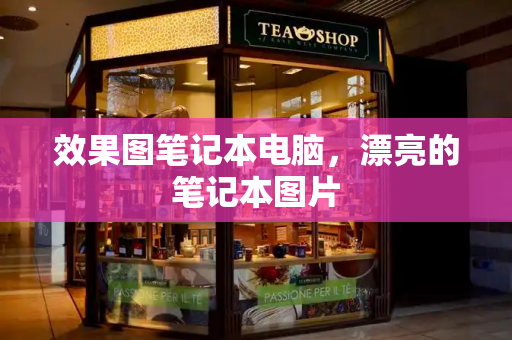效果图笔记本电脑，漂亮的笔记本图片