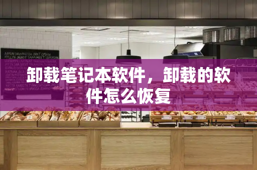 卸载笔记本软件，卸载的软件怎么恢复
