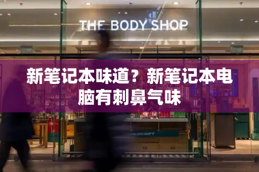新笔记本味道？新笔记本电脑有刺鼻气味