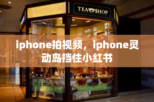 iphone拍视频，iphone灵动岛挡住小红书
