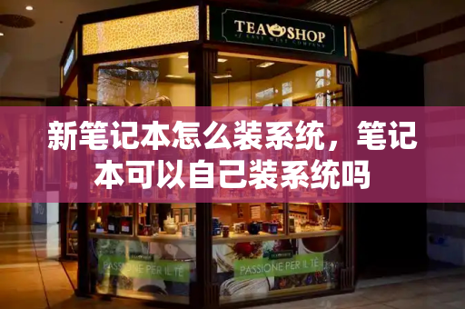 新笔记本怎么装系统，笔记本可以自己装系统吗-第1张图片-星选测评