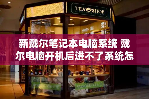 新戴尔笔记本电脑系统 戴尔电脑开机后进不了系统怎么办-第1张图片-星选测评