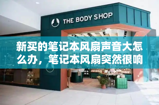 新买的笔记本风扇声音大怎么办，笔记本风扇突然很响-第1张图片-星选测评