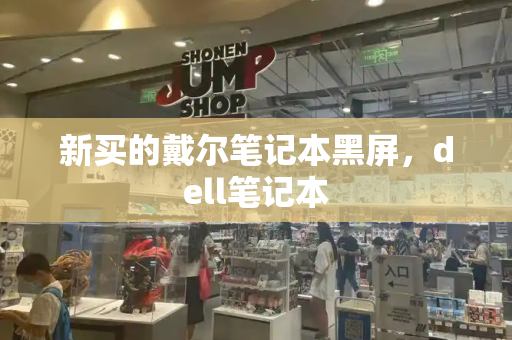 新买的戴尔笔记本黑屏，dell笔记本-第1张图片-星选测评
