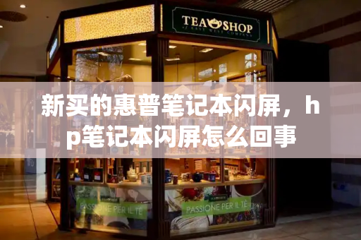 新买的惠普笔记本闪屏，hp笔记本闪屏怎么回事-第1张图片-星选测评