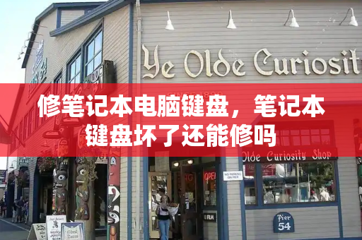 修笔记本电脑键盘，笔记本键盘坏了还能修吗-第1张图片-星选测评