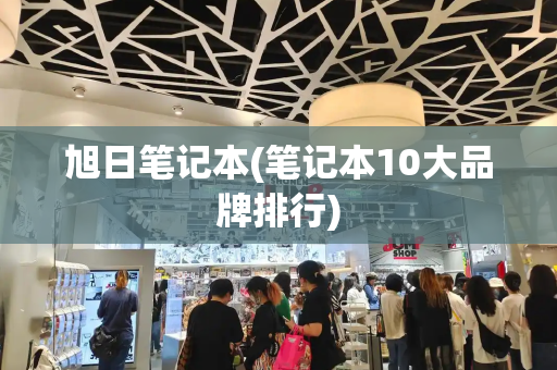 旭日笔记本(笔记本10大品牌排行)-第1张图片-星选测评