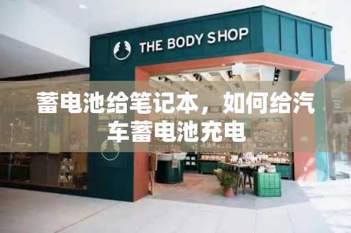 蓄电池给笔记本，如何给汽车蓄电池充电-第1张图片-星选测评