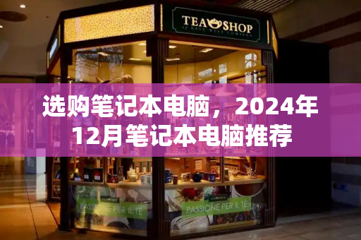 选购笔记本电脑，2024年12月笔记本电脑推荐-第1张图片-星选测评