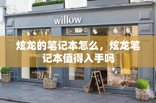 炫龙的笔记本怎么，炫龙笔记本值得入手吗-第1张图片-星选测评