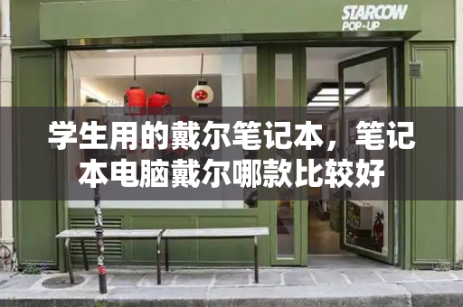 学生用的戴尔笔记本，笔记本电脑戴尔哪款比较好-第1张图片-星选测评