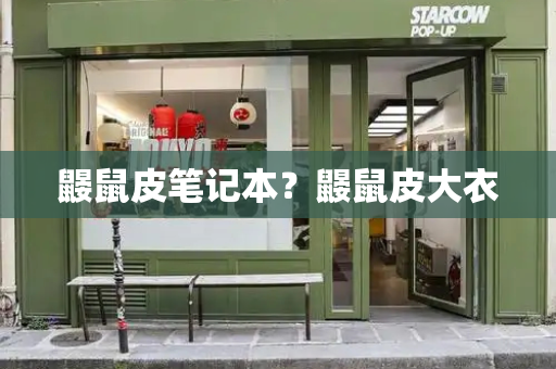 鼹鼠皮笔记本？鼹鼠皮大衣-第1张图片-星选测评