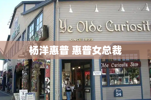 杨洋惠普 惠普女总裁