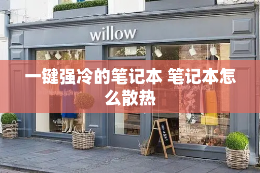 一键强冷的笔记本 笔记本怎么散热-第1张图片-星选测评
