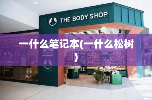 一什么笔记本(一什么松树)-第1张图片-星选测评