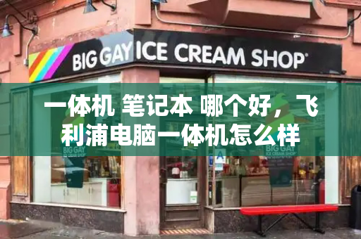 一体机 笔记本 哪个好，飞利浦电脑一体机怎么样