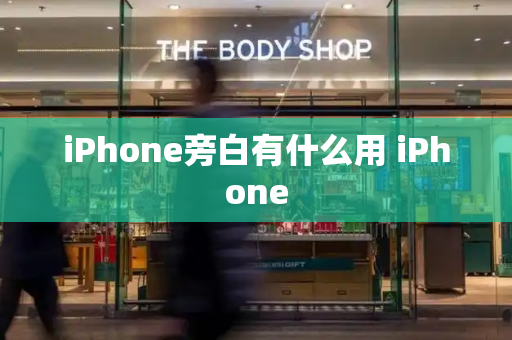iPhone旁白有什么用 iPhone-第1张图片-星选测评
