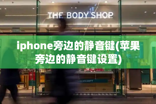 iphone旁边的静音键(苹果旁边的静音键设置)-第1张图片-星选测评